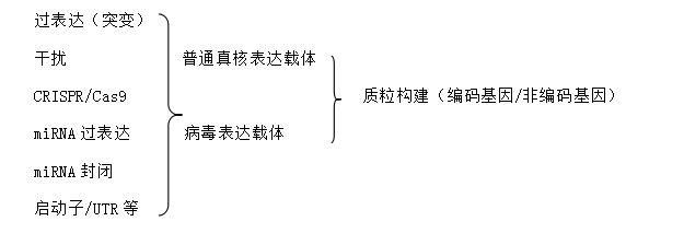 UG(й)ٷվ