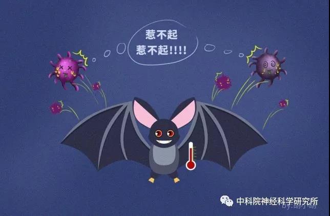 UG(й)ٷվ