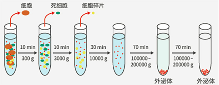 外泌体超离大致办法