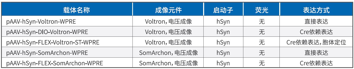 UG环球·(中国区)官方网站