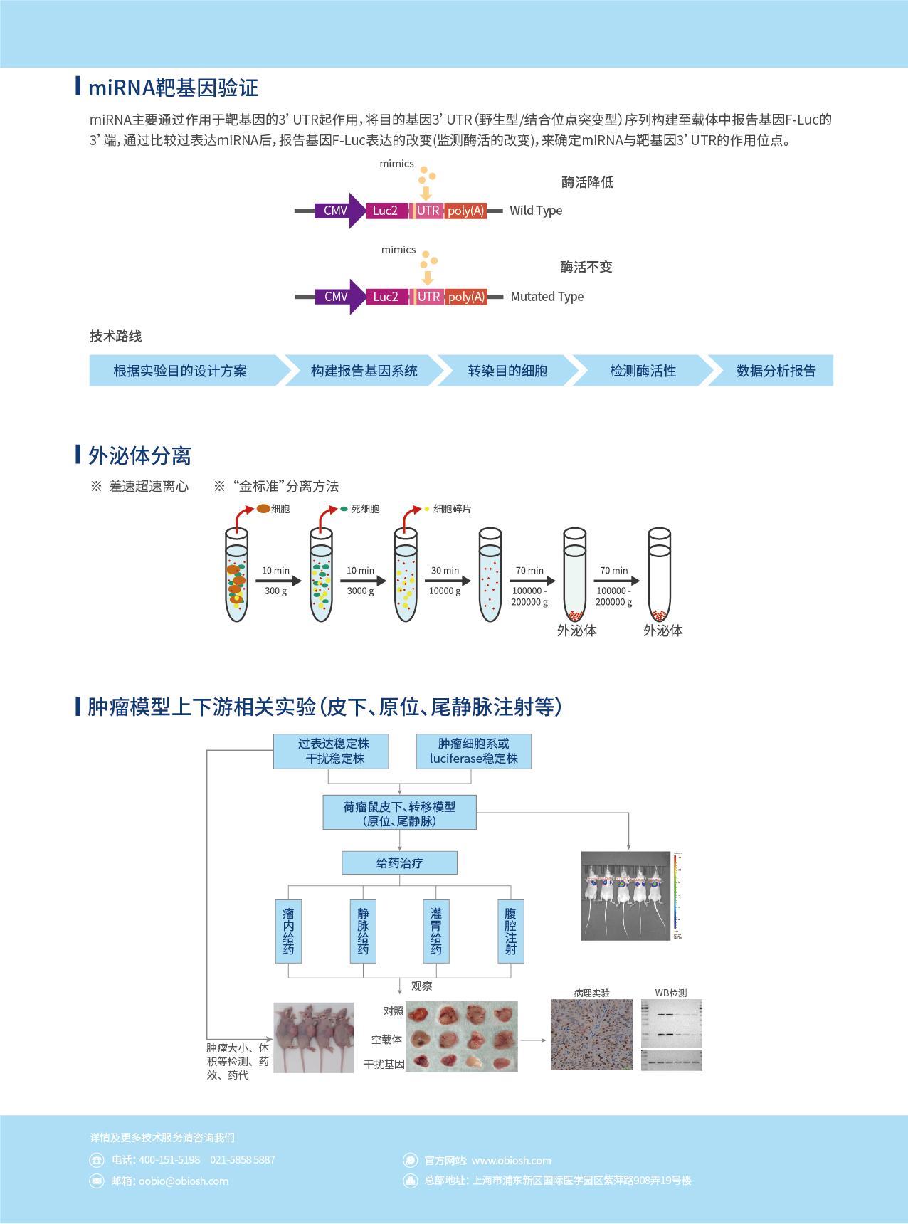 UG环球·(中国区)官方网站