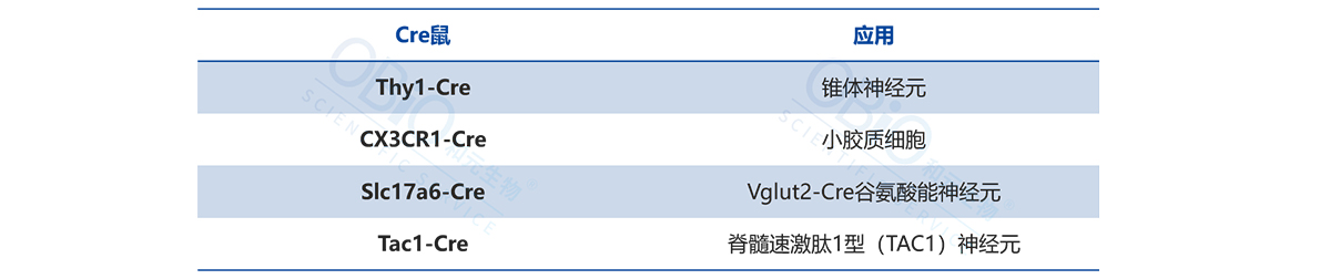 UG(й)ٷվ