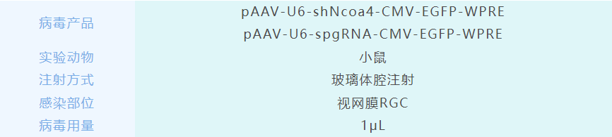 UG(й)ٷվ